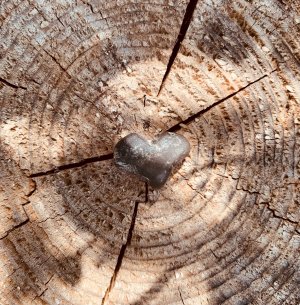 Bedingungslose Liebe